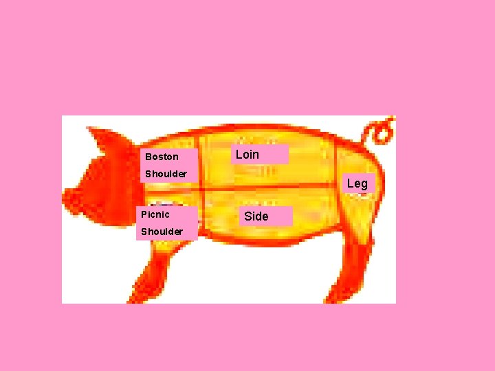 Boston Loin Shoulder Picnic Shoulder Leg Side 