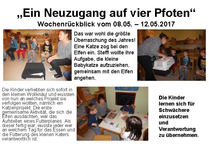 „Ein Neuzugang auf vier Pfoten“ Wochenrückblick vom 08. 05. – 12. 05. 2017 Das