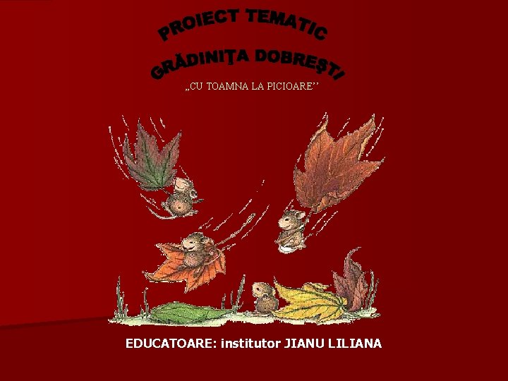 , , CU TOAMNA LA PICIOARE’’ EDUCATOARE: institutor JIANU LILIANA 