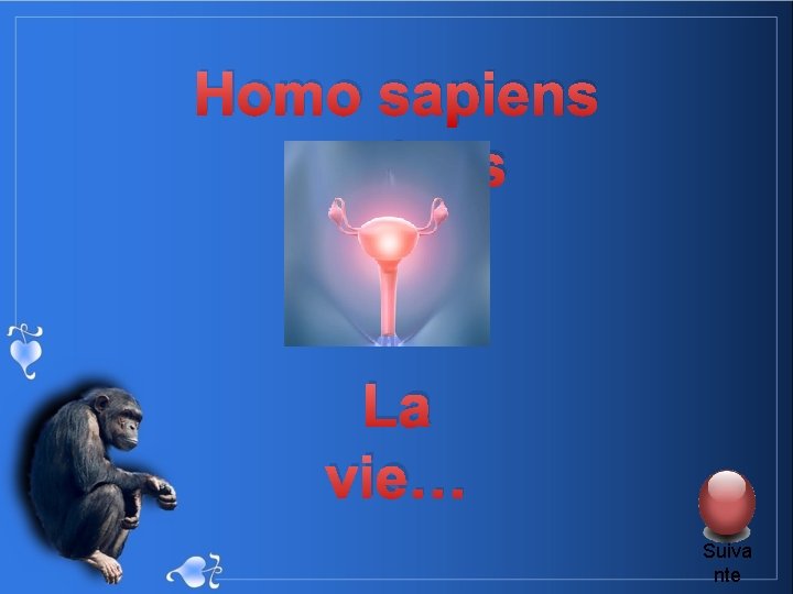 Homo sapiens La vie… Suiva nte 