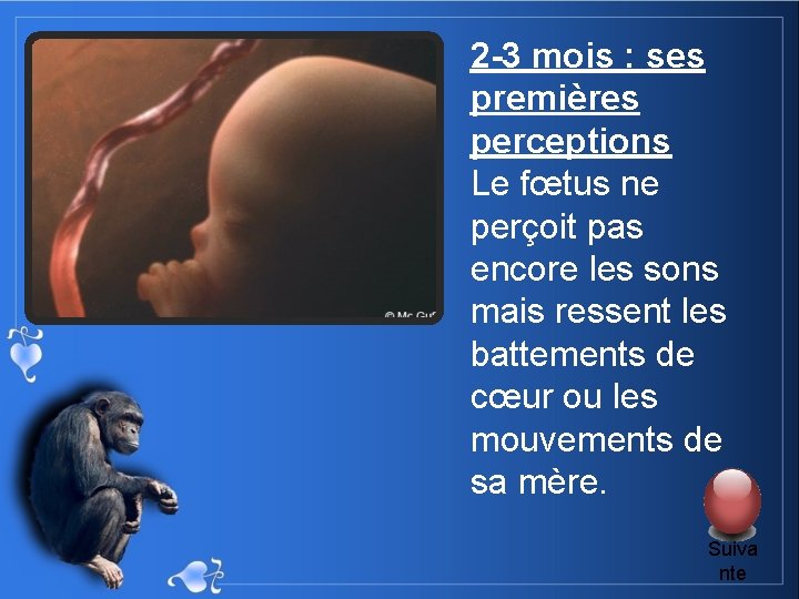 2 -3 mois : ses premières perceptions Le fœtus ne perçoit pas encore les