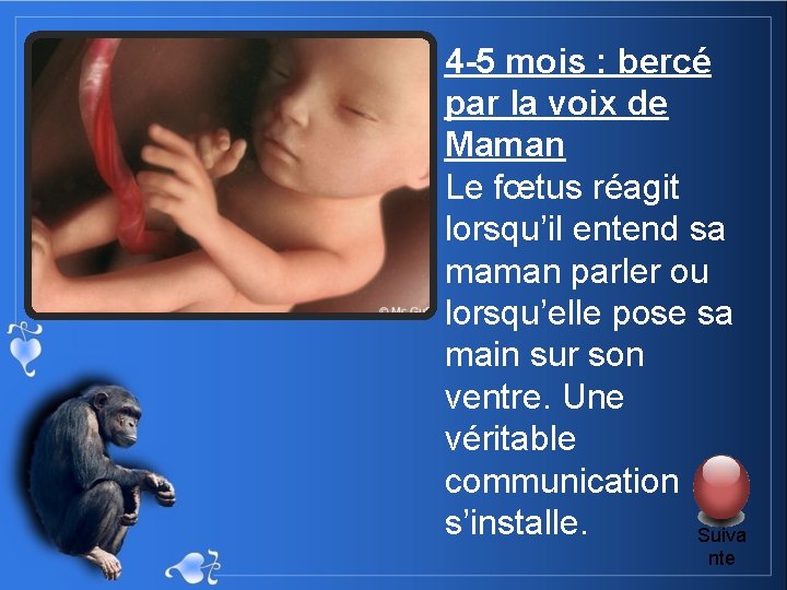 4 -5 mois : bercé par la voix de Maman Le fœtus réagit lorsqu’il
