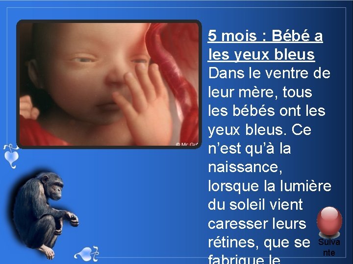 5 mois : Bébé a les yeux bleus Dans le ventre de leur mère,