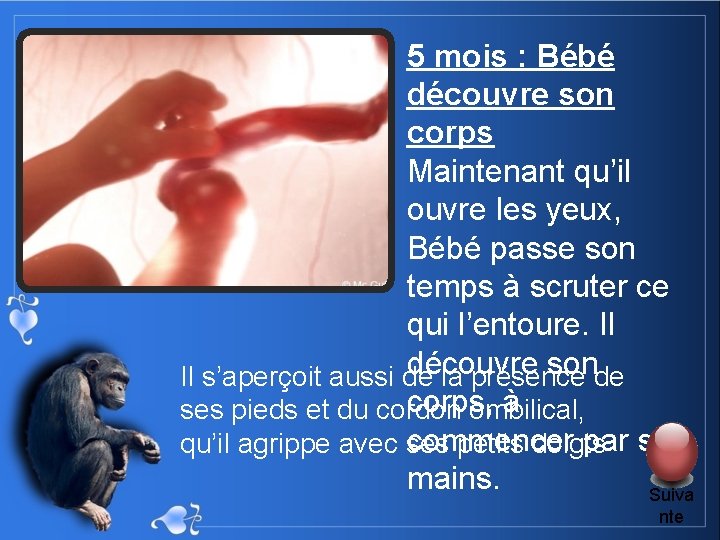 5 mois : Bébé découvre son corps Maintenant qu’il ouvre les yeux, Bébé passe