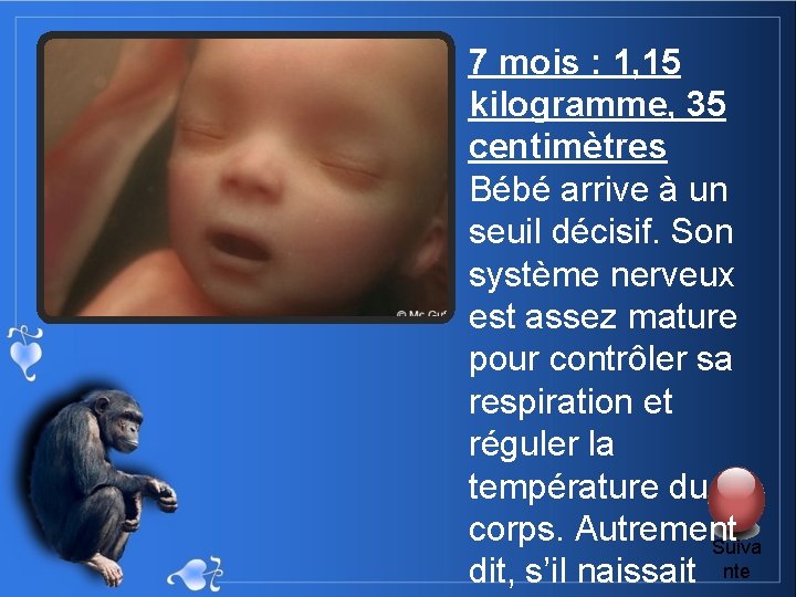 7 mois : 1, 15 kilogramme, 35 centimètres Bébé arrive à un seuil décisif.