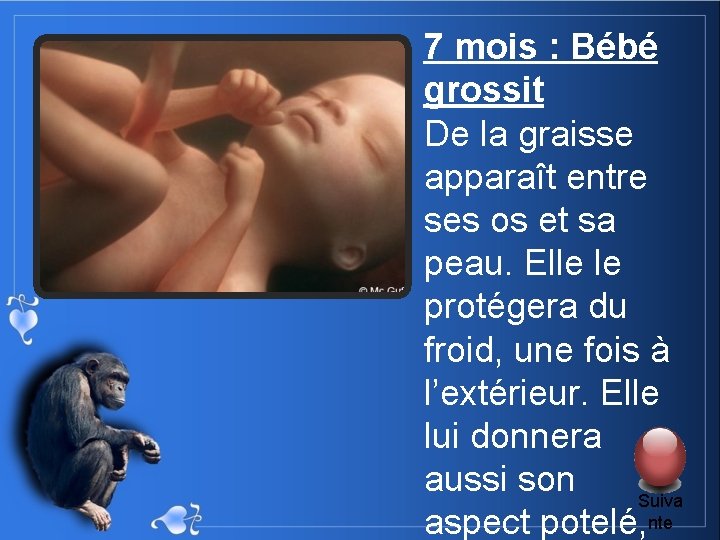 7 mois : Bébé grossit De la graisse apparaît entre ses os et sa