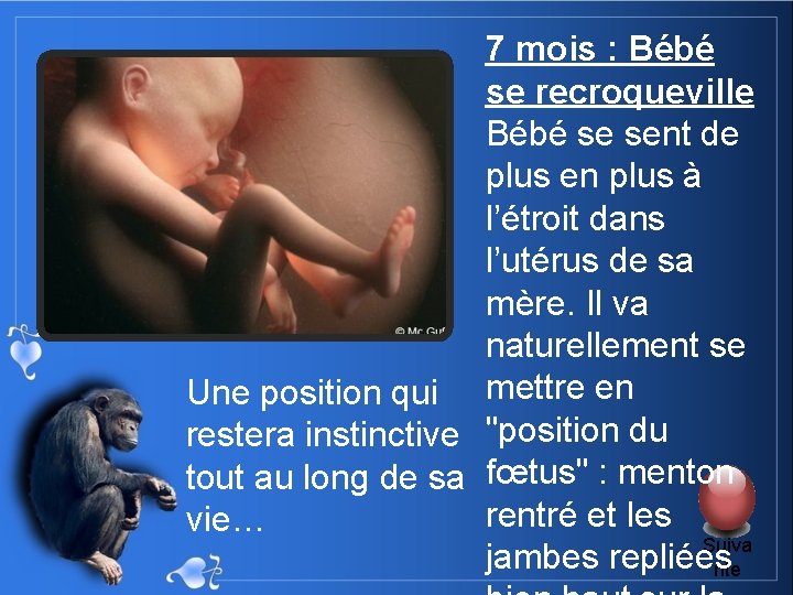 7 mois : Bébé se recroqueville Bébé se sent de plus en plus à