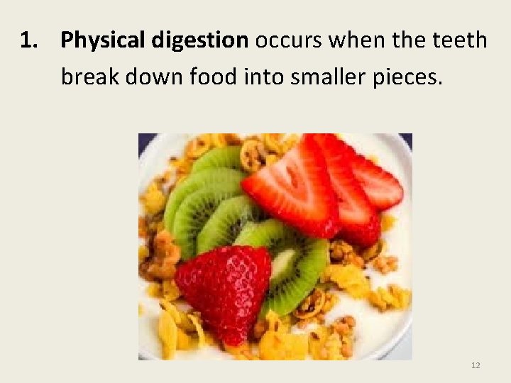 1. Physical digestion occurs when the teeth break down food into smaller pieces. 12
