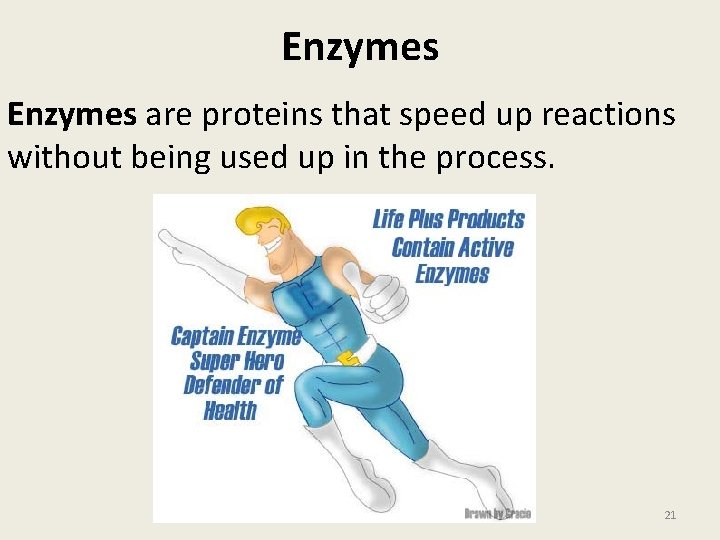 Enzymes are proteins that speed up reactions without being used up in the process.