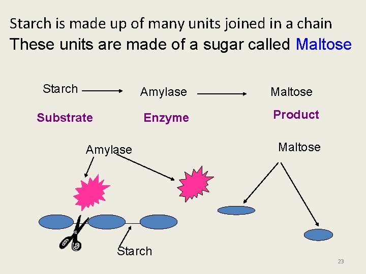 Starch is made up of many units joined in a chain These units are