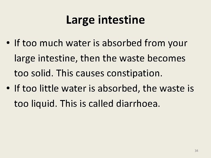Large intestine • If too much water is absorbed from your large intestine, then