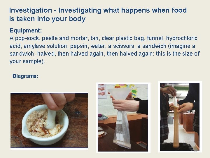 Investigation - Investigating what happens when food is taken into your body Equipment: A