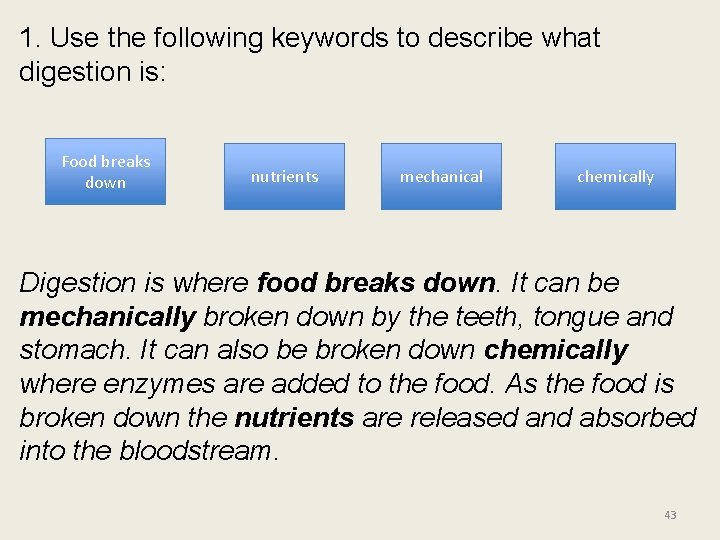 1. Use the following keywords to describe what digestion is: Food breaks down nutrients