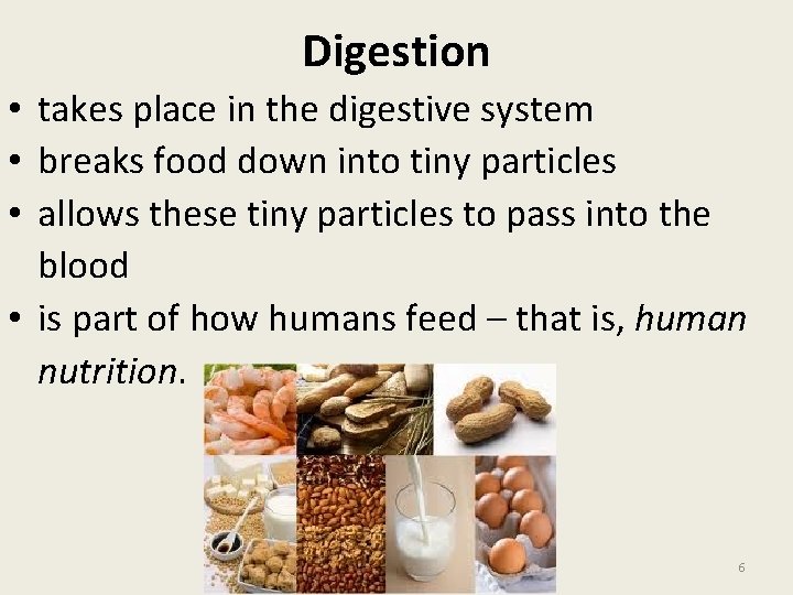 Digestion • takes place in the digestive system • breaks food down into tiny