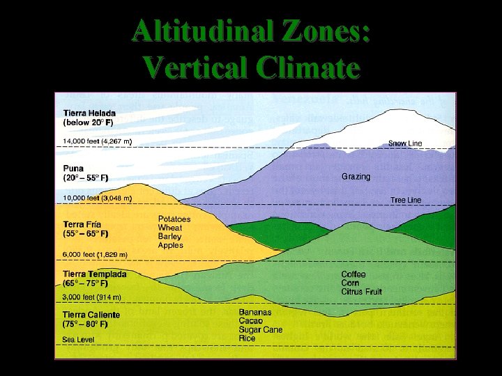 Altitudinal Zones: Vertical Climate 