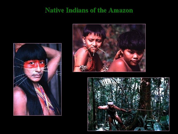 Native Indians of the Amazon 