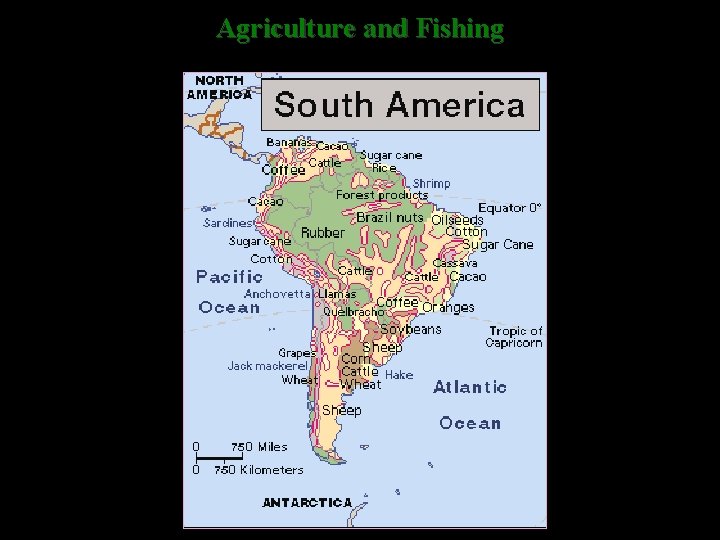 Agriculture and Fishing 