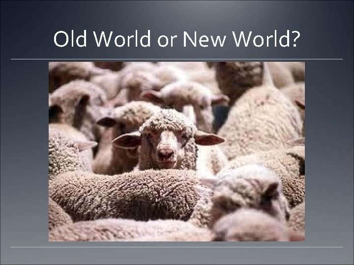 Old World or New World? 