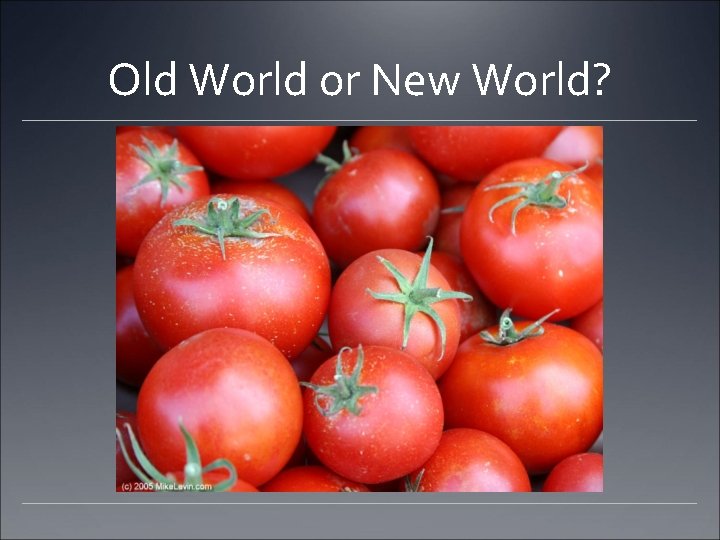Old World or New World? 