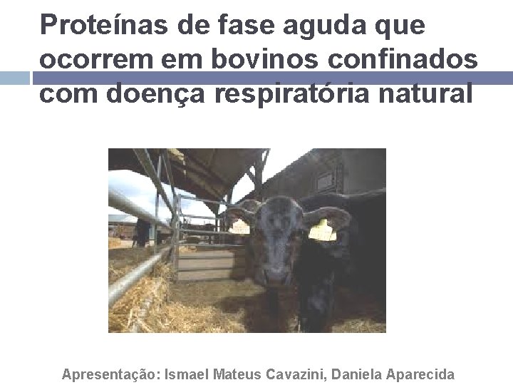 Proteínas de fase aguda que ocorrem em bovinos confinados com doença respiratória natural Apresentação: