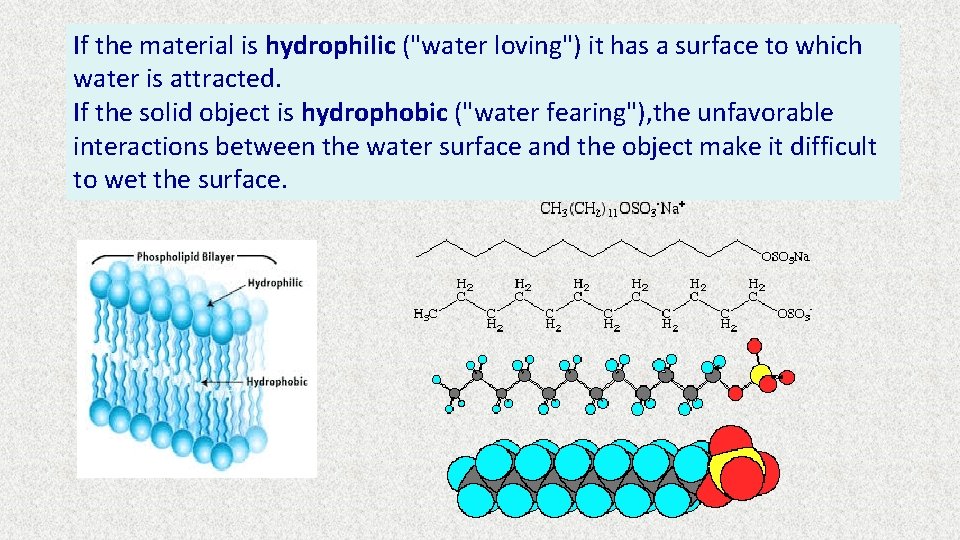 If the material is hydrophilic ("water loving") it has a surface to which water If the material is hydrophilic ("water loving") it has a surface to which water