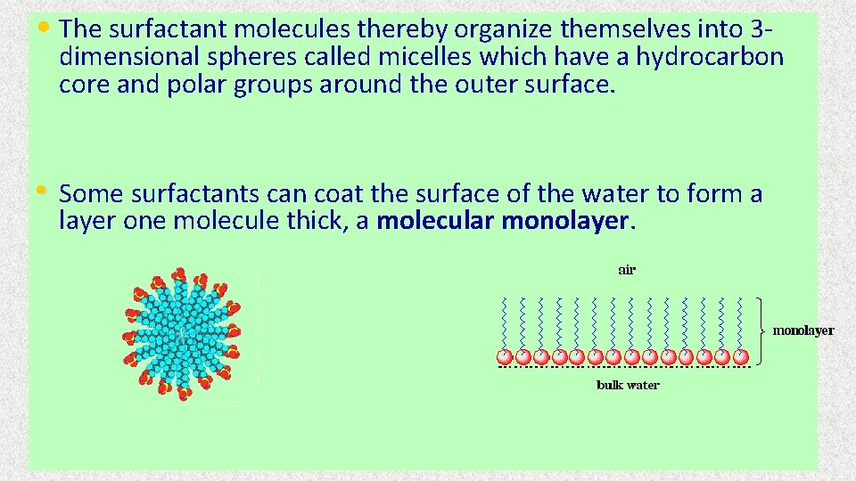 • The surfactant molecules thereby organize themselves into 3 - dimensional spheres called • The surfactant molecules thereby organize themselves into 3 - dimensional spheres called