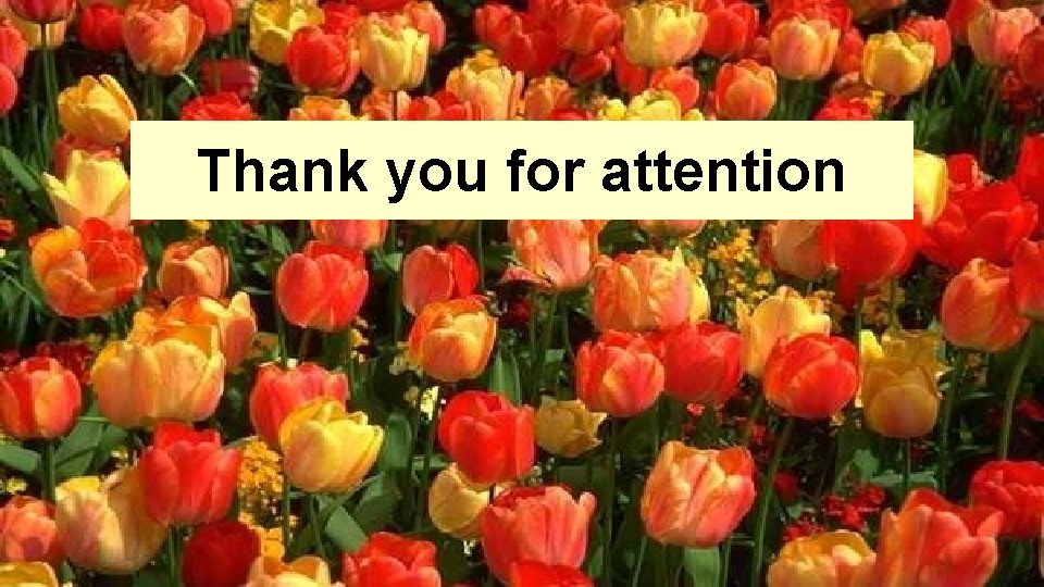 Thank you for attention Thank you for attention