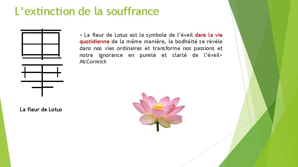 L’extinction de la souffrance « La fleur de Lotus est le symbole de l’éveil