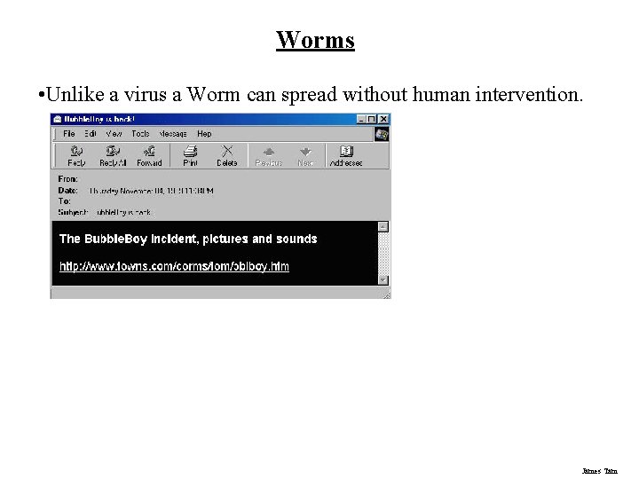 Worms • Unlike a virus a Worm can spread without human intervention. James Tam