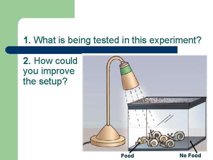 1. What is being tested in this experiment? 2. How could you improve the