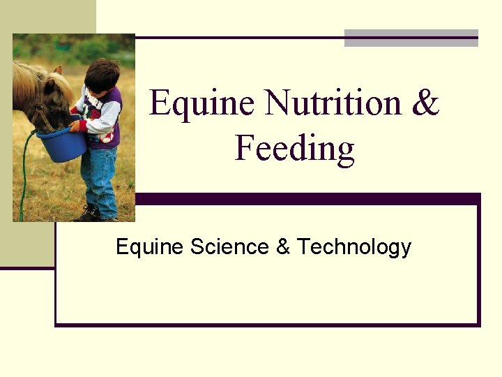 Equine Nutrition & Feeding Equine Science & Technology 