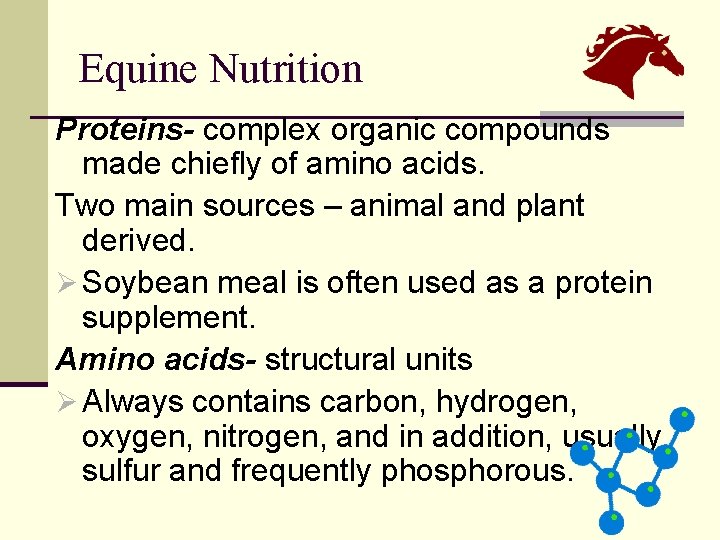 Equine Nutrition Proteins- complex organic compounds made chiefly of amino acids. Two main sources