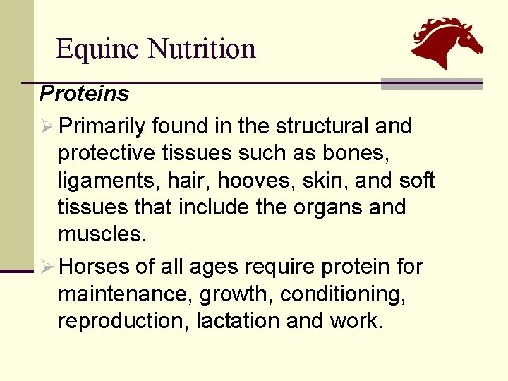 Equine Nutrition Proteins Ø Primarily found in the structural and protective tissues such as