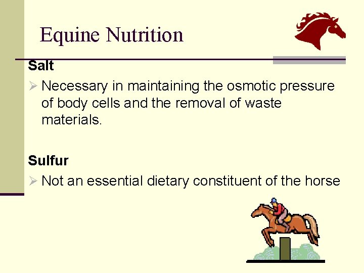 Equine Nutrition Salt Ø Necessary in maintaining the osmotic pressure of body cells and