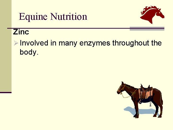 Equine Nutrition Zinc Ø Involved in many enzymes throughout the body. 