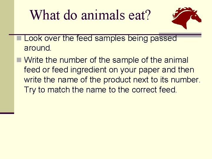 What do animals eat? n Look over the feed samples being passed around. n