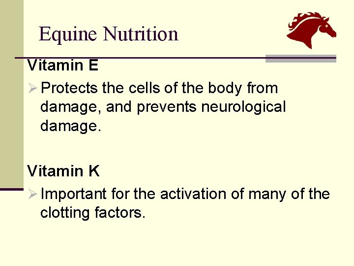 Equine Nutrition Vitamin E Ø Protects the cells of the body from damage, and