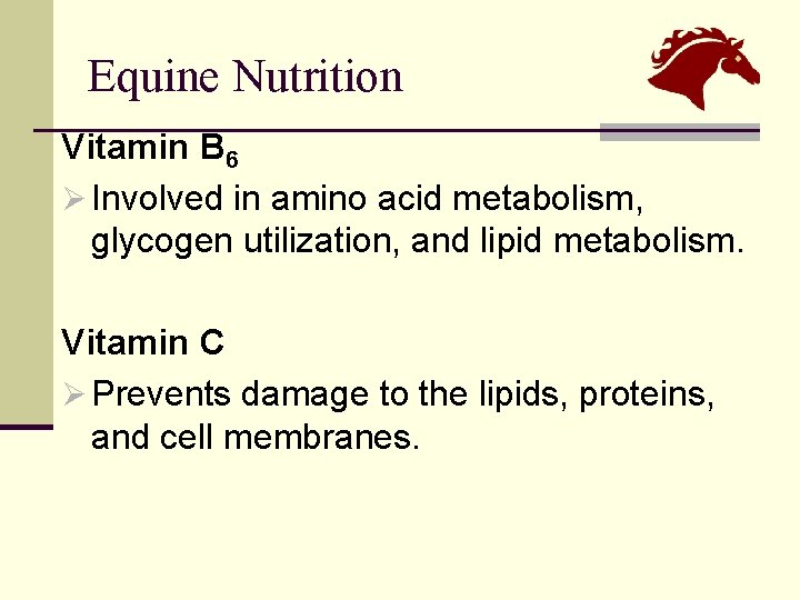 Equine Nutrition Vitamin B 6 Ø Involved in amino acid metabolism, glycogen utilization, and