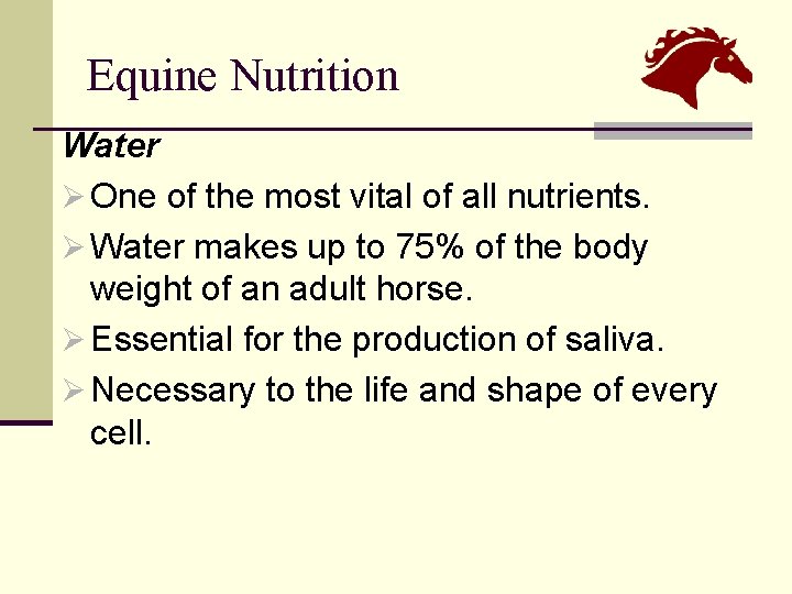 Equine Nutrition Water Ø One of the most vital of all nutrients. Ø Water