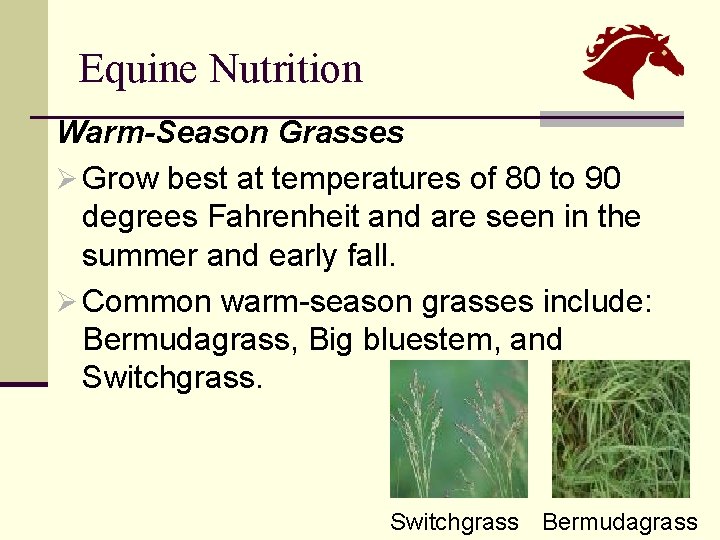 Equine Nutrition Warm-Season Grasses Ø Grow best at temperatures of 80 to 90 degrees