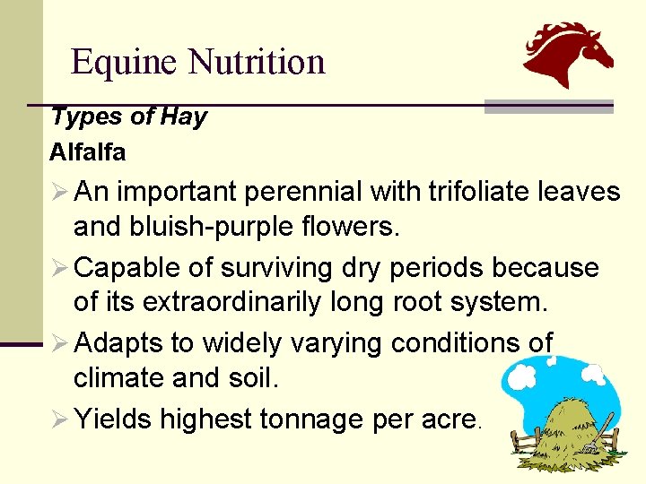 Equine Nutrition Types of Hay Alfalfa Ø An important perennial with trifoliate leaves and