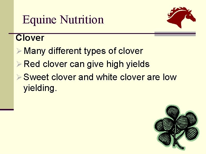 Equine Nutrition Clover Ø Many different types of clover Ø Red clover can give