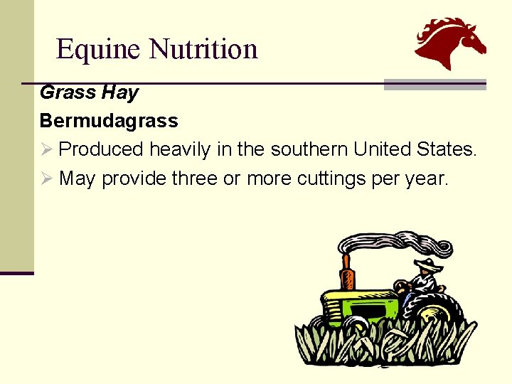 Equine Nutrition Grass Hay Bermudagrass Ø Produced heavily in the southern United States. Ø