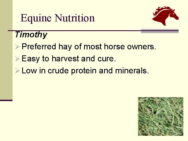 Equine Nutrition Timothy Ø Preferred hay of most horse owners. Ø Easy to harvest