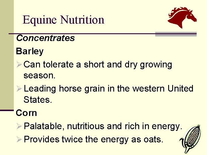 Equine Nutrition Concentrates Barley Ø Can tolerate a short and dry growing season. Ø