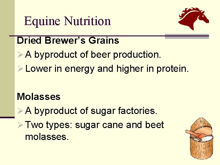 Equine Nutrition Dried Brewer’s Grains Ø A byproduct of beer production. Ø Lower in