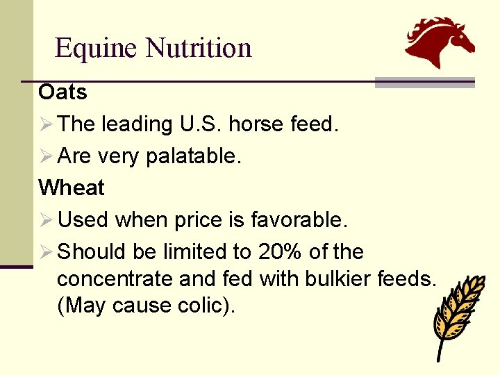 Equine Nutrition Oats Ø The leading U. S. horse feed. Ø Are very palatable.