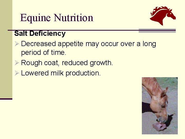 Equine Nutrition Salt Deficiency Ø Decreased appetite may occur over a long period of