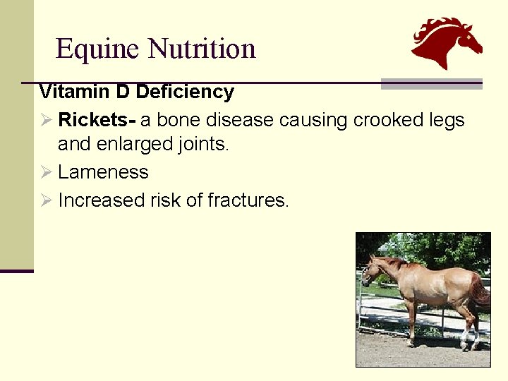 Equine Nutrition Vitamin D Deficiency Ø Rickets- a bone disease causing crooked legs and