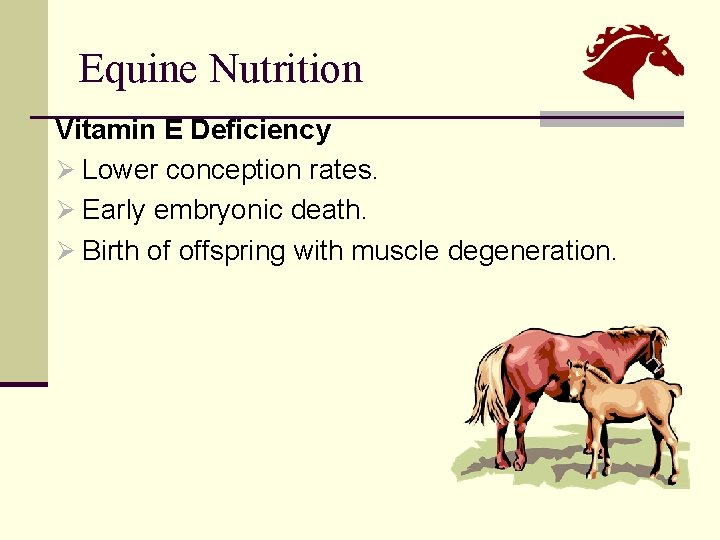 Equine Nutrition Vitamin E Deficiency Ø Lower conception rates. Ø Early embryonic death. Ø
